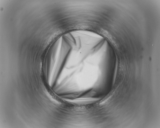 X0000088890110200706291449