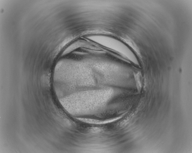 X0000088890111200706291449