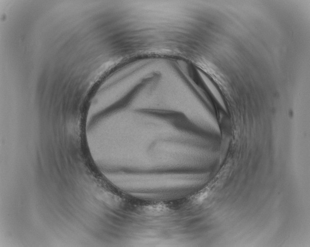 X0000088890112200706291449