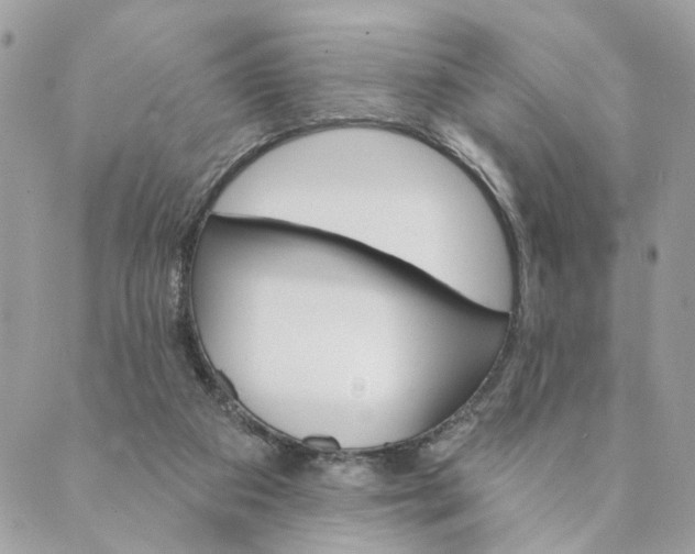 X0000088890113200706291449