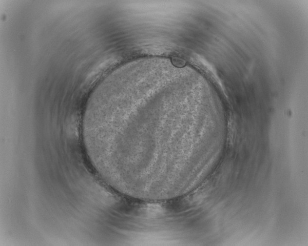 X0000088890114200706291449