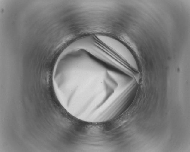 X0000088890115200706291449