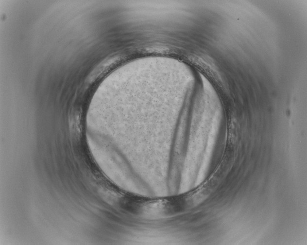 X0000088890116200706291449