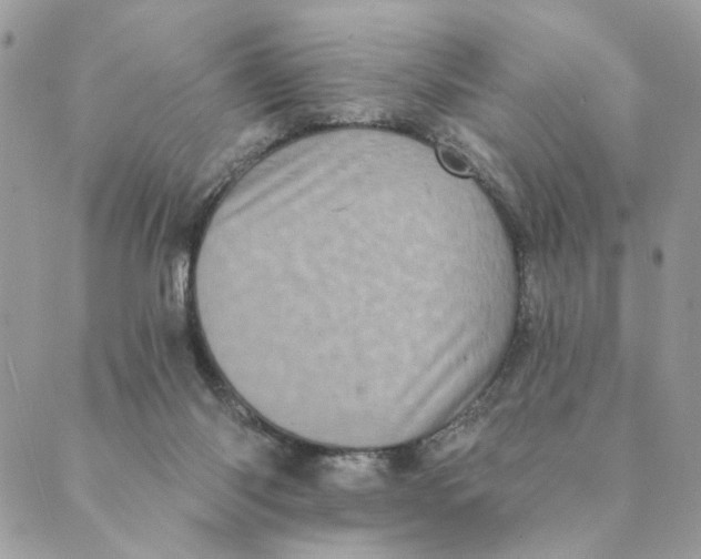 X0000088890118200706291449