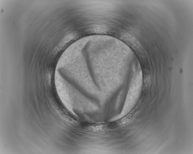 X0000088890120200706291449