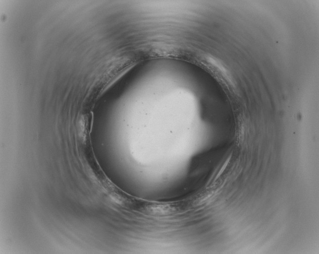 X0000088890121200706291449