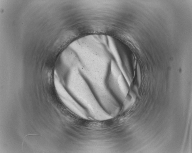 X0000088890123200706291449