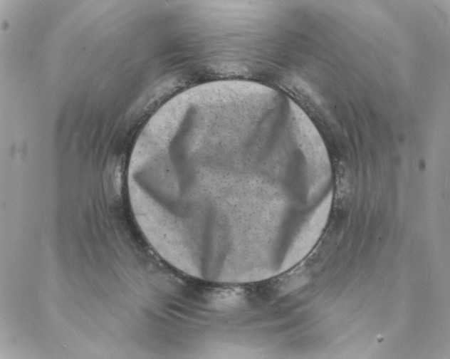 X0000088890124200706291449