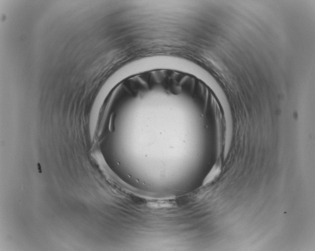 X0000088890125200706291449