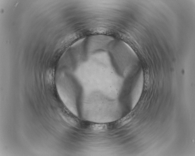 X0000088890126200706291449