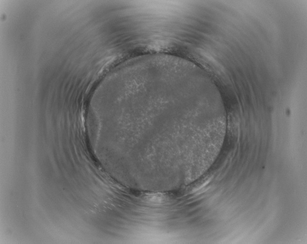 X0000088890127200706291449