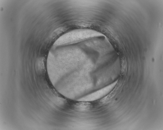 X0000088890128200706291449