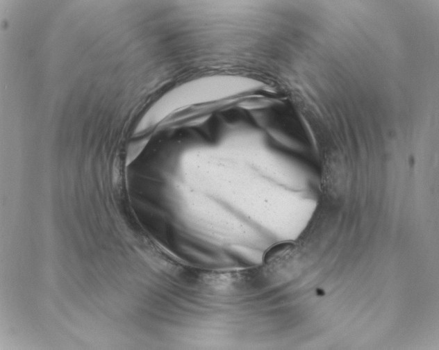 X0000088890131200706291449