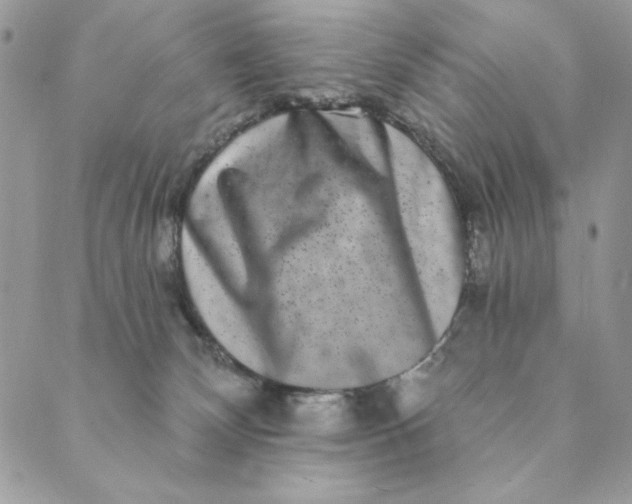 X0000088890132200706291449