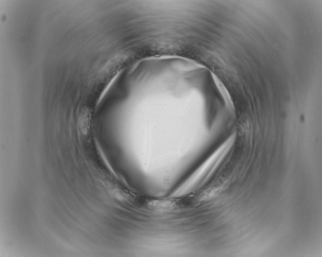 X0000088890133200706291449