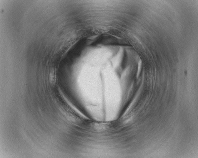 X0000088890134200706291449