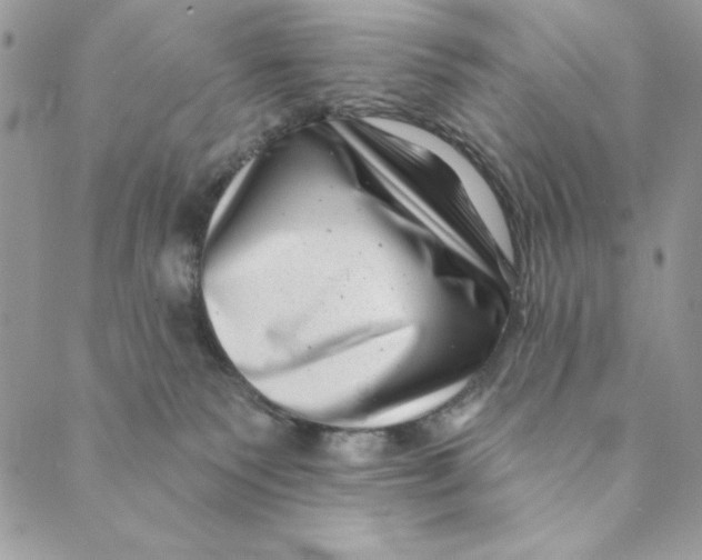 X0000088890135200706291449