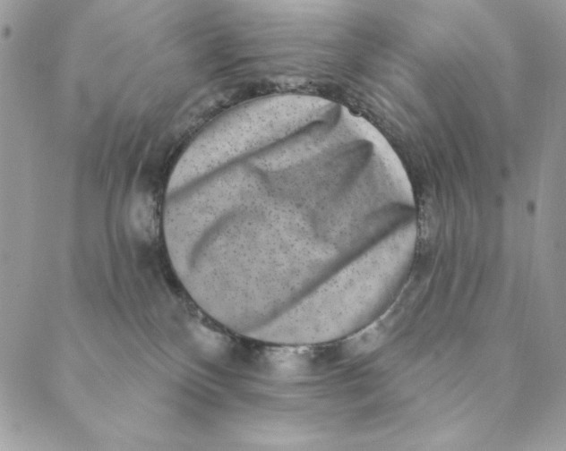 X0000088890136200706291449