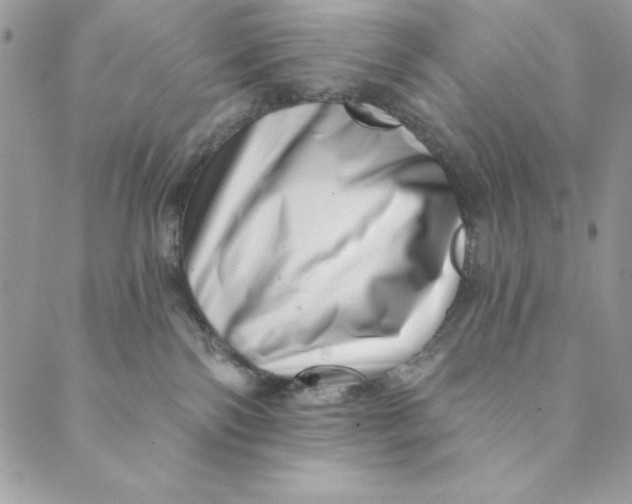 X0000088890138200706291449