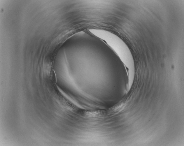 X0000088890139200706291449