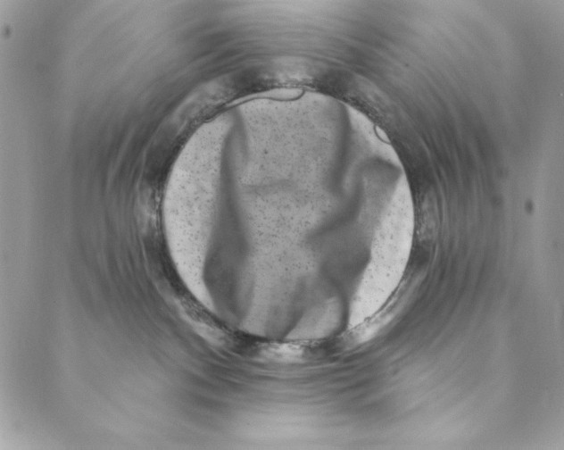 X0000088890140200706291449