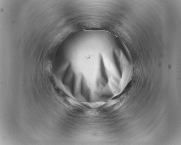 X0000088890141200706291449