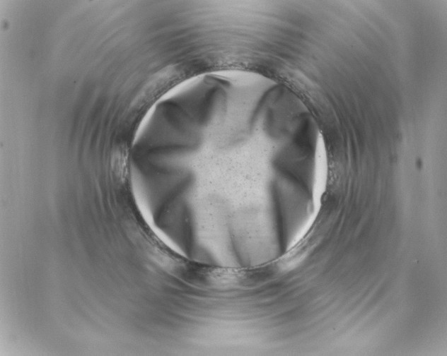 X0000088890142200706291449