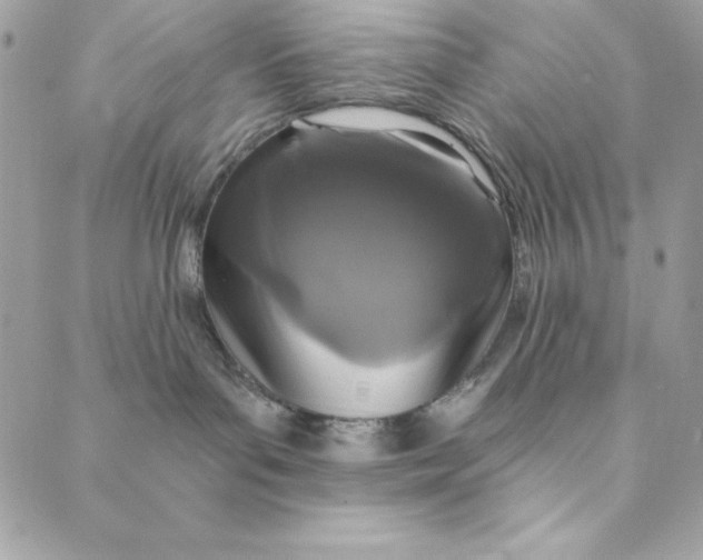 X0000088890143200706291449