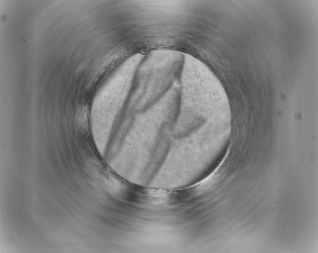 X0000088890144200706291449