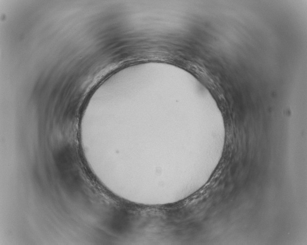 X0000088890146200706291448