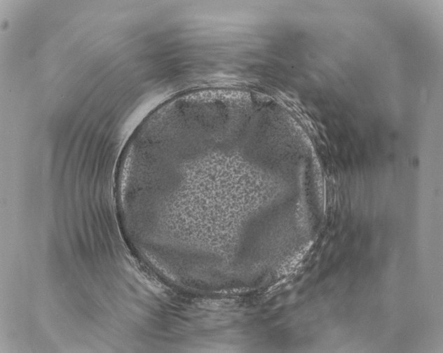 X0000088890147200706291448