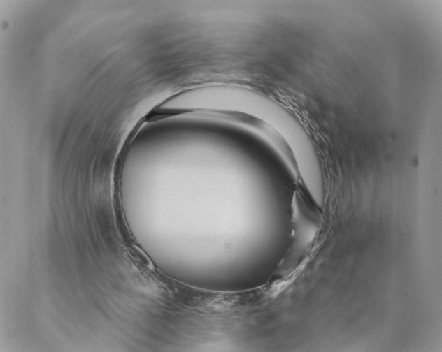 X0000088890148200706291448