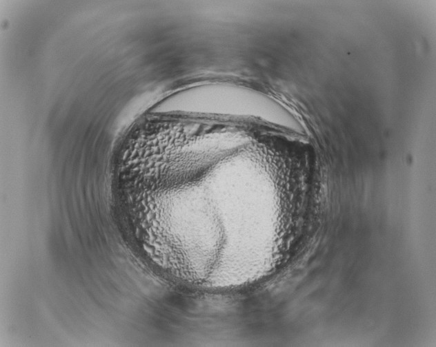 X0000088890149200706291448