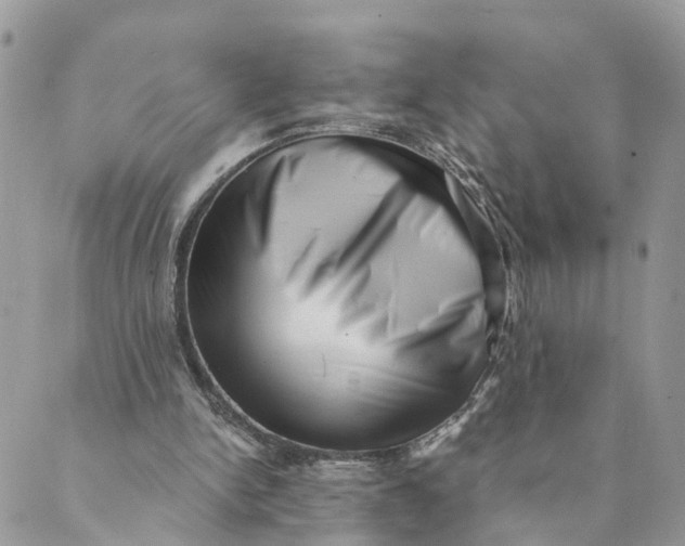 X0000088890150200706291448