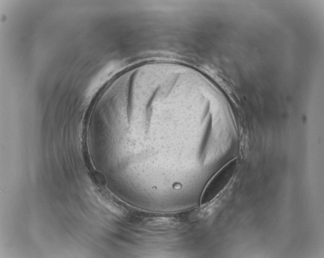 X0000088890151200706291448