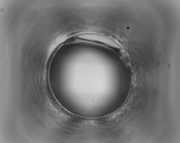 X0000088890152200706291448