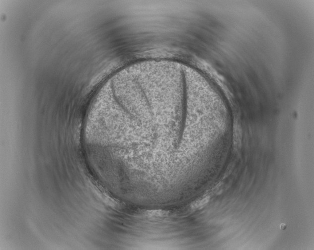 X0000088890153200706291448