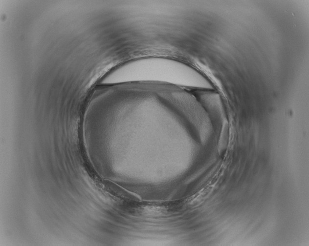 X0000088890154200706291448