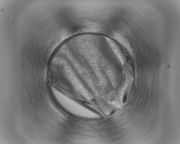 X0000088890156200706291448