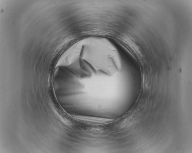 X0000088890157200706291448