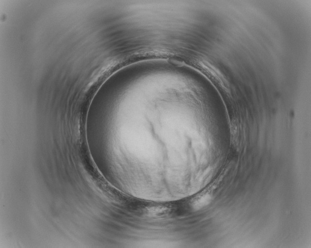 X0000088890158200706291448