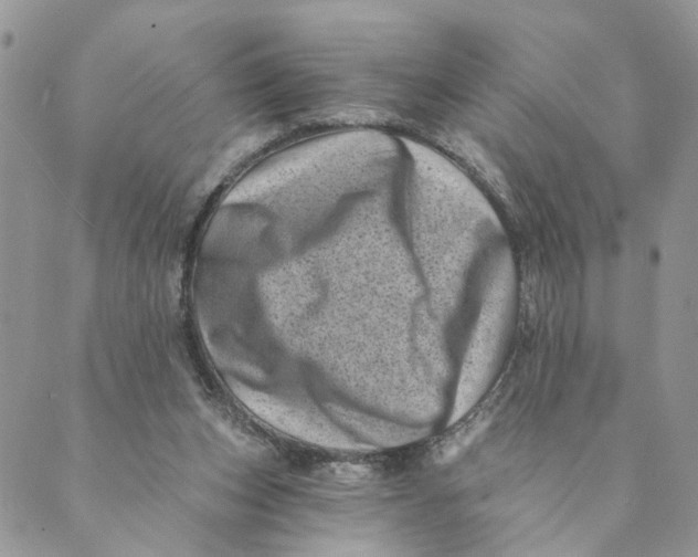 X0000088890159200706291448