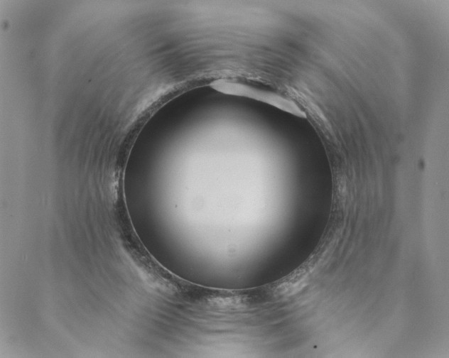 X0000088890160200706291448