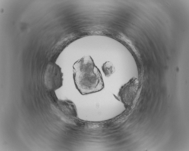 X0000088890161200706291448