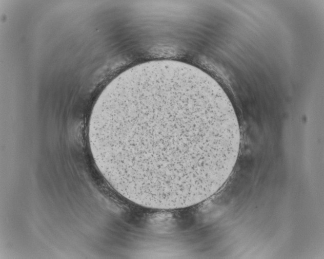 X0000088890162200706291448