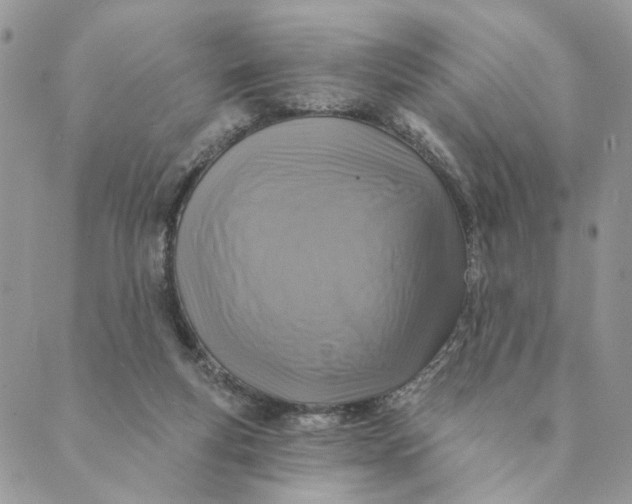 X0000088890163200706291448