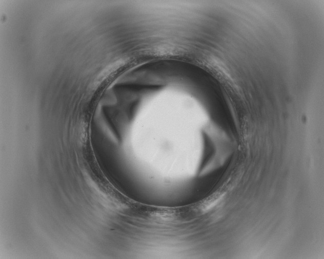 X0000088890164200706291448