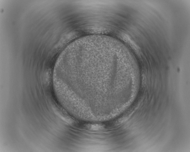 X0000088890165200706291448