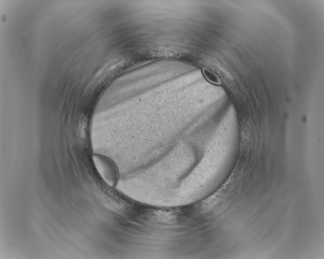 X0000088890166200706291448