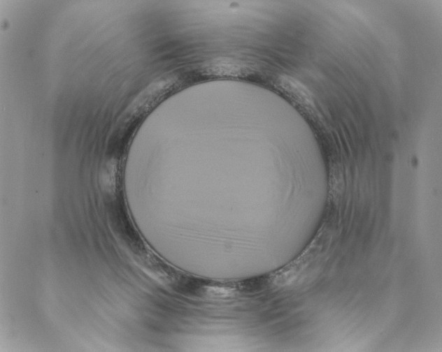 X0000088890167200706291448